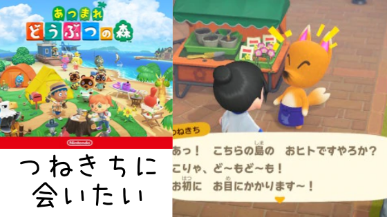 あつ森 つねきちの出現場所 方法の特定 バグの解消 時間帯がいつまでtwitterで探してみた 気になるマガジンdogyear