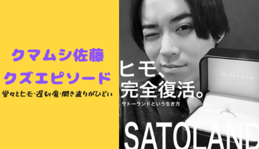 カジサックさんが炎上しているのはなぜ ...