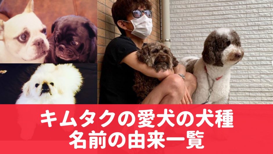 キムタクの愛犬エト アムの犬種は 現在６匹 工藤静香やcocomi Kokiも投稿 気になるマガジンdogyear
