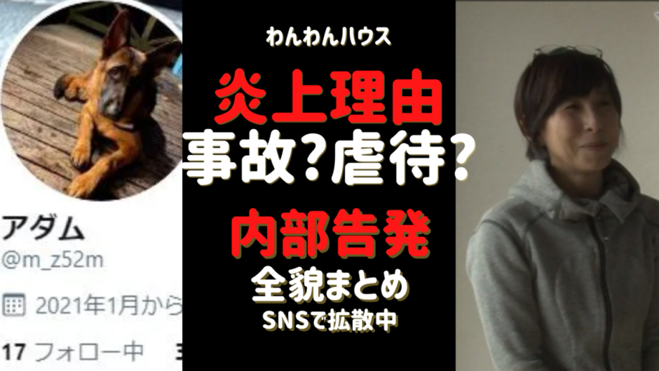 わんわんハウス大山田真美が炎上 事故 故意 内部告発 詳細まとめ 気になるマガジンdogyear