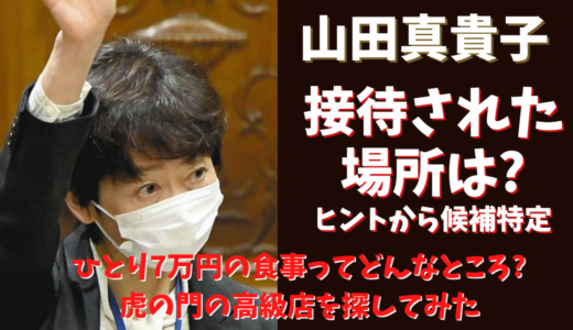 頃 山田 真貴子 若い