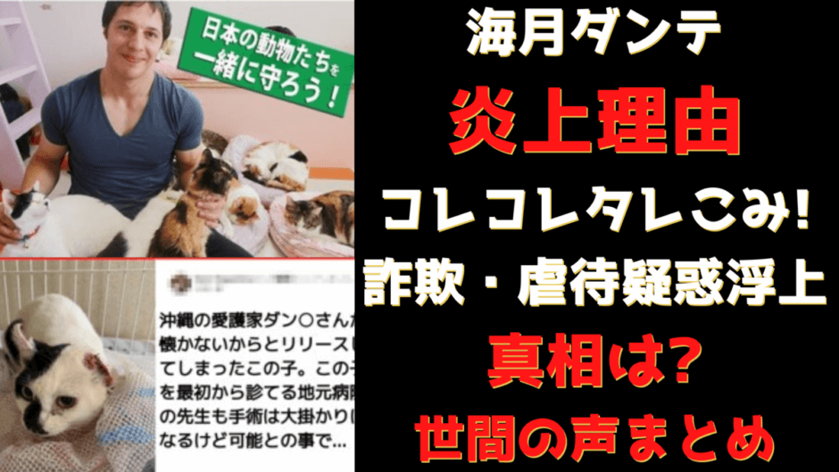 海月ダンテ炎上理由 猫を利用し寄付集め 虐待 詐欺の噂 真相は 気になるマガジンdogyear