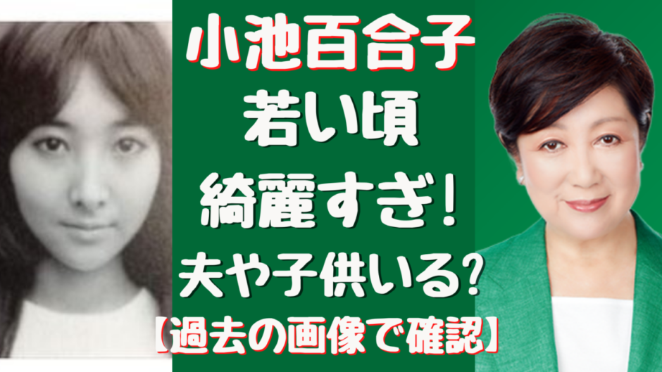 小池百合子の夫や子供は 結婚してる 夫が韓国人の噂を調査してみた 気になるマガジンdogyear