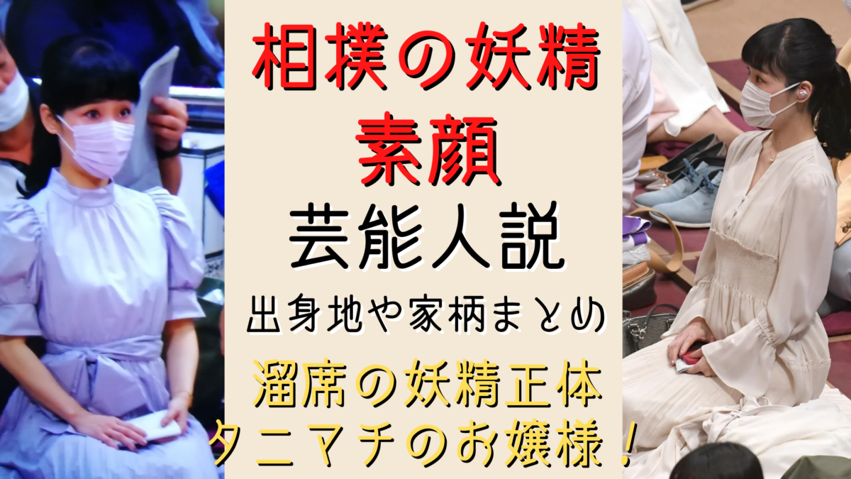 相撲の妖精の素顔が判明 溜席の妖精正体はタニマチのお嬢様 気になるマガジンdogyear