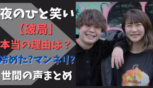 夜のひと笑い いちえの炎上理由まとめ 炎上動画 謝罪動画世間の声は 気になるマガジンdogyear