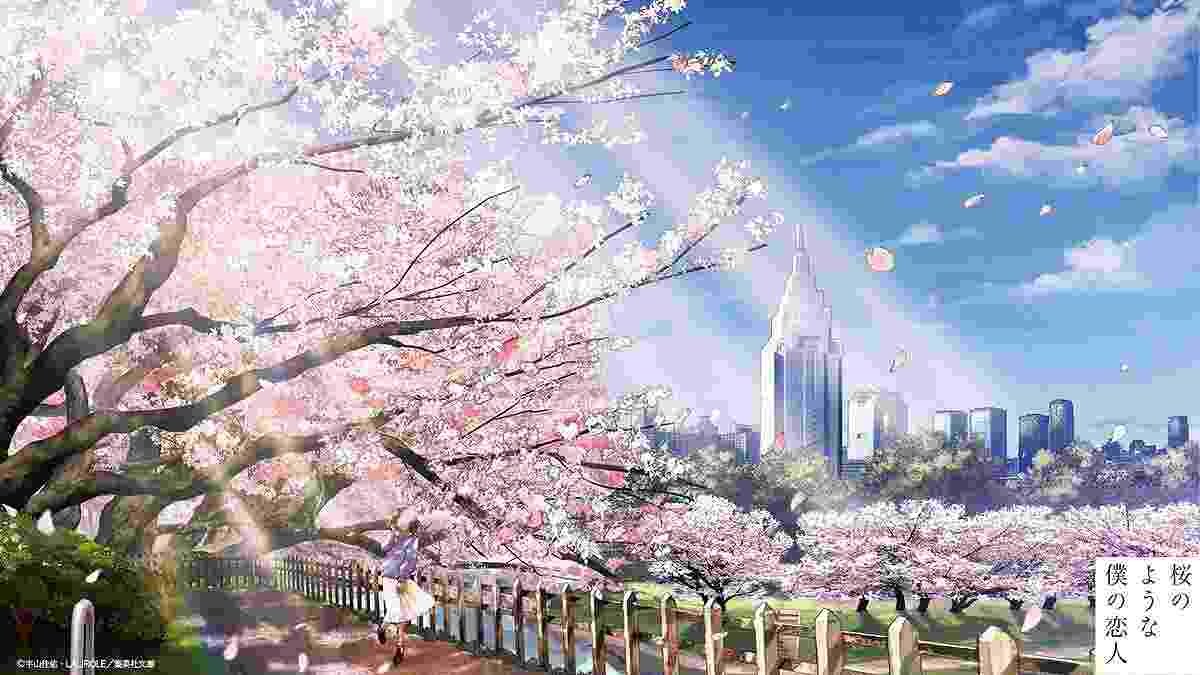 桜のような僕の恋人