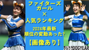 ファイターズガール人気ランキング2024総まとめ　