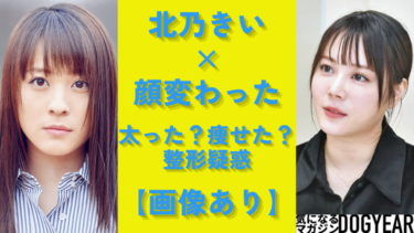 北乃きいの現在は顔変わり過ぎ!鼻や目がどう変わった?画像で比較