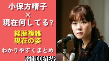 小保方晴子の現在はグラビア経由でパティシエ見習いになっていた！