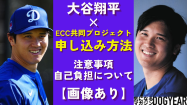 大谷翔平とECC共同プロジェクト申込方法！内容、自己負担額について