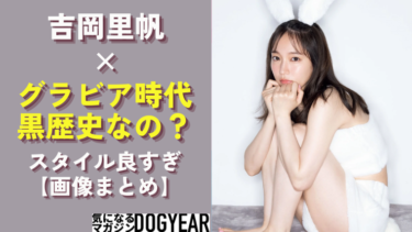 吉岡里帆のグラビアアイドル時代からスタイル良すぎ！黒歴史と思ってる！？