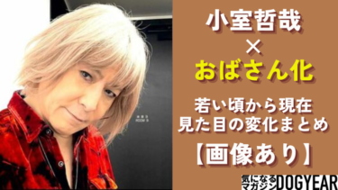 小室哲哉のおばさん化！現在と若い頃を画像で比較