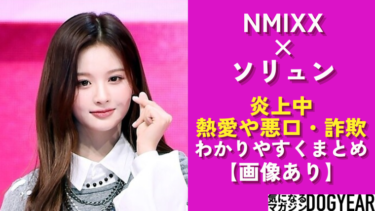 NMIXXソリュンが炎上中！熱愛や悪口・詐欺様々な噂が！